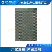 直徑陰極保護(hù)用鈦陽(yáng)極 釕銥電極 鉑電極