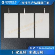 離子/電解水機(jī)用鈦陽(yáng)極 釕銥電極 鉑電極